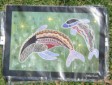 Aboriginal art print - Rainbow Dolphin