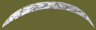 boomerang history