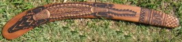hunting boomerang, wattle wood