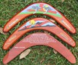 Popular boomerang