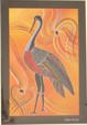Brolga